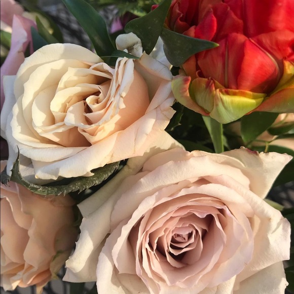 Meet your Posher, Ariela - Picture 1 of 1